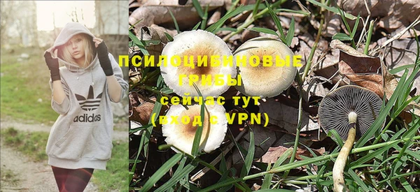 хмурый Верхний Тагил